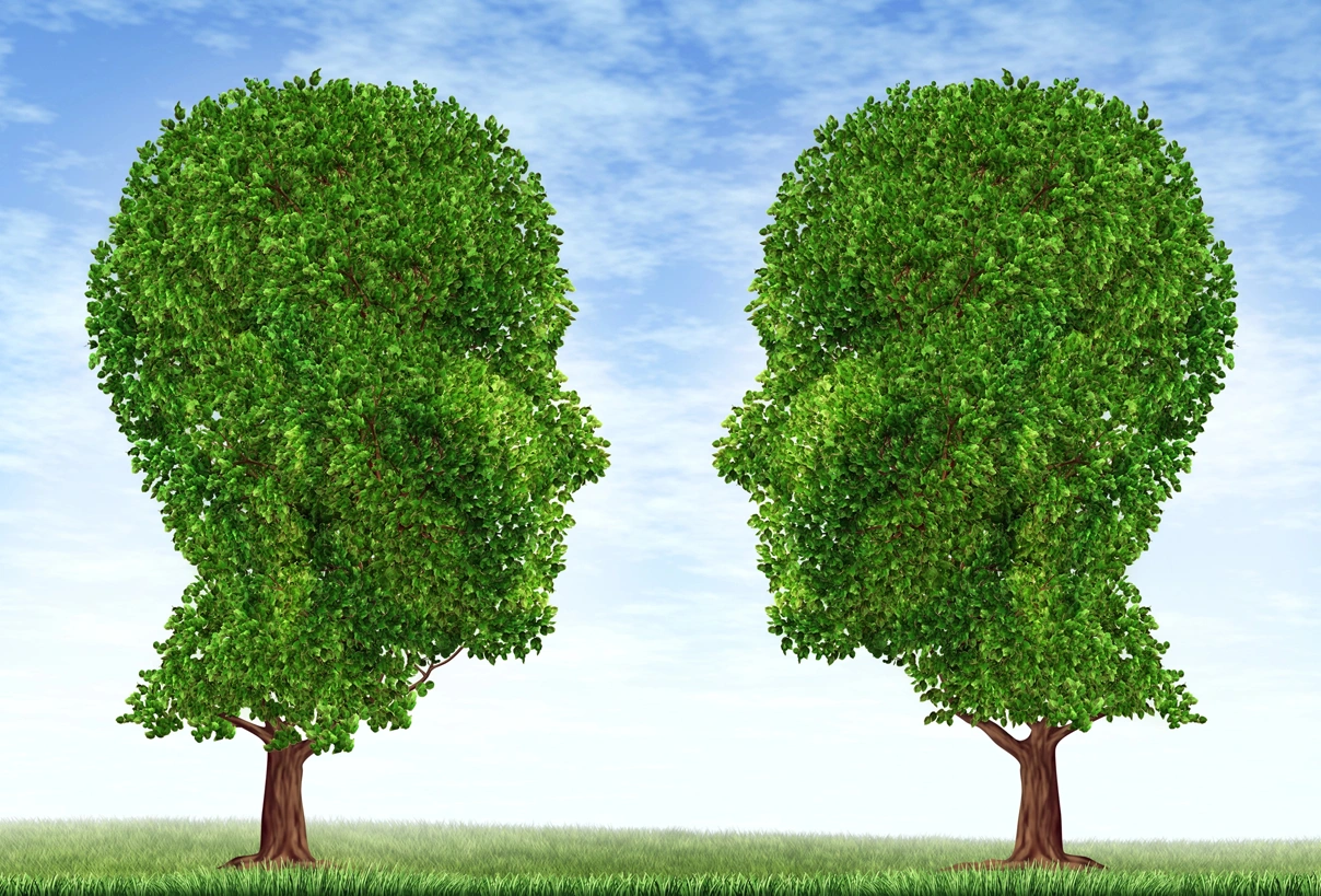 Fahrzeugeinkauf – Nutzfahrzeuge und Baumaschinen